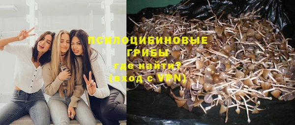 гидропоника Балахна