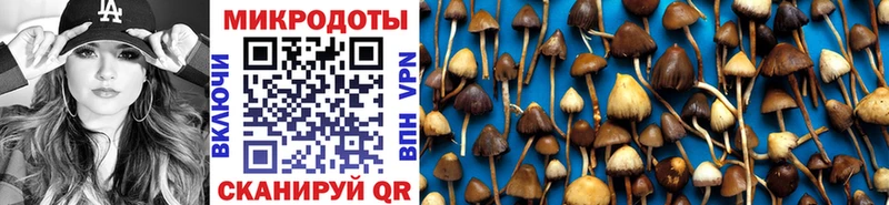 OMG tor  Бахчисарай  Галлюциногенные грибы Psilocybine cubensis 